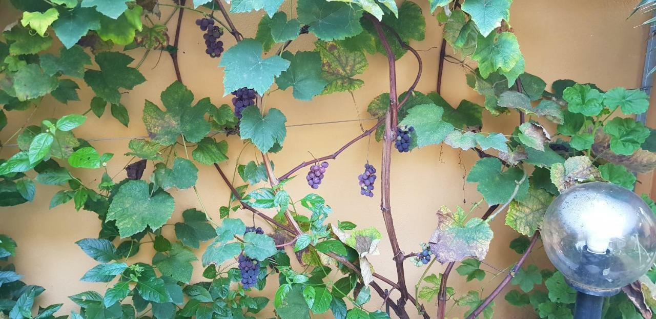 Casa Vacanze Rose E Fiori Sardegna San Vito  Exteriör bild